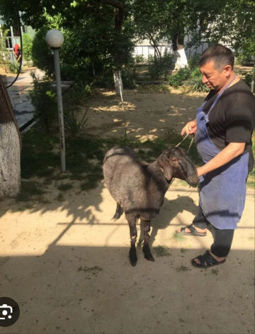 김별1