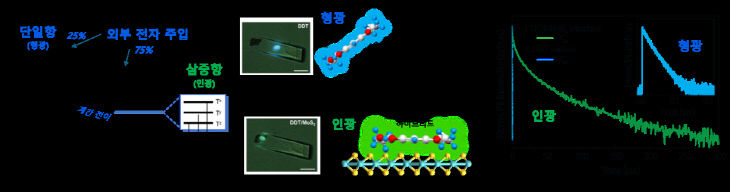 사진1