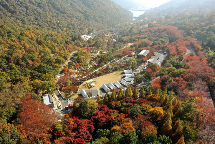 월아산 숲속의 진주