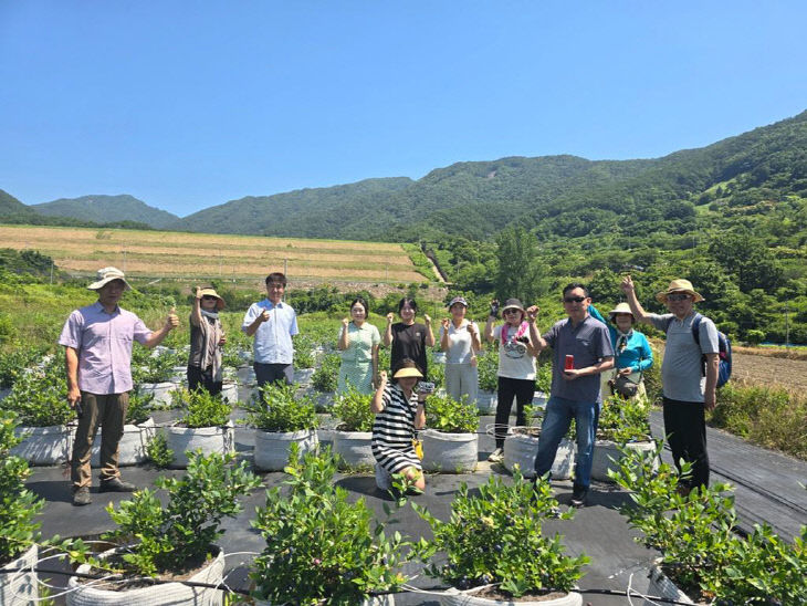 1.하동에서 살아보기