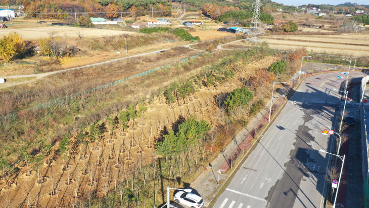 사본 -(사진1) 도시숲 조성(석문산단)