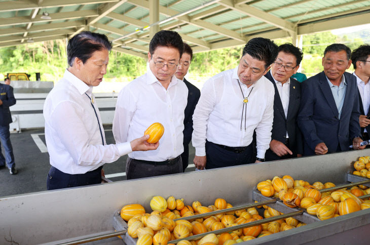 성주참외 3대 혁신운동