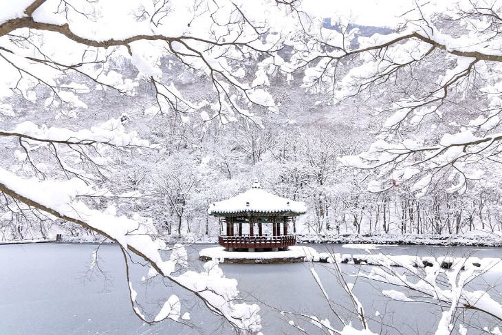 내장산 우화정