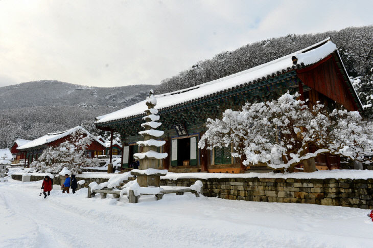 (자료사진) 선운사 설경