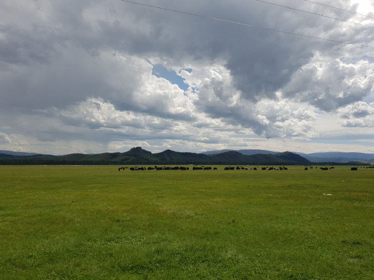 터보가람한드 3