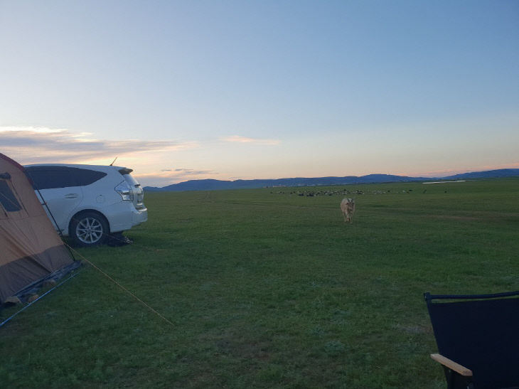 터보가람한드 4