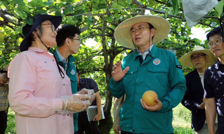 윤병태 나주시장, 배 일소 피해 농가 현장을 점검3