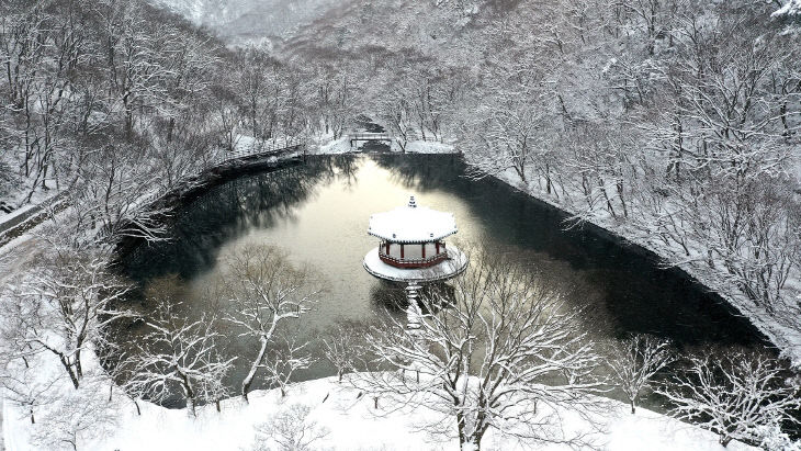 순백의 설경과 고요한 숲길 보러 떠나자!”  (5)