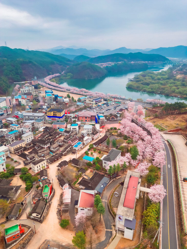 봄 벚꽃