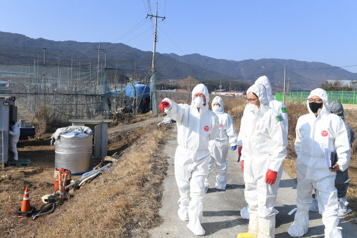 거창군 AI 확산 방지를 위한 공동 총력 대응