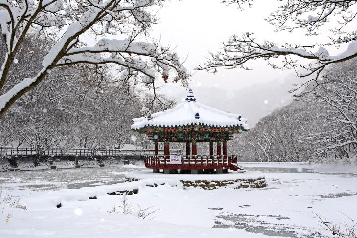 0122 내장산국대한민국 대표 명소 입증 (5)