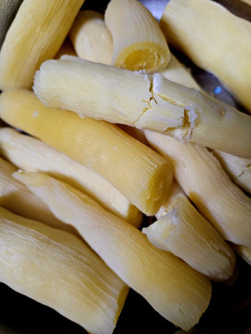 금산-박혜림(필)찐카사바 인기