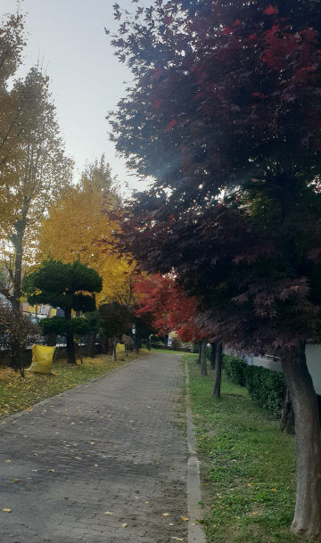 터보가람한드 첨부1