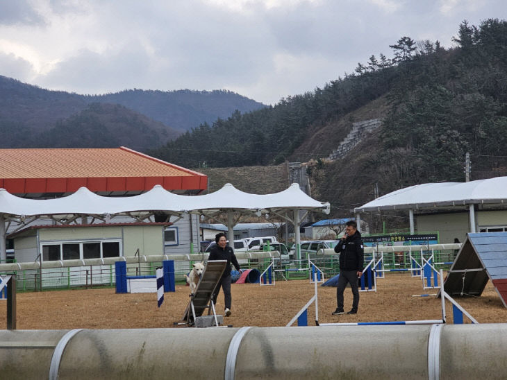 1. 설날에는 진도개 테마파크로 오세요 (3)