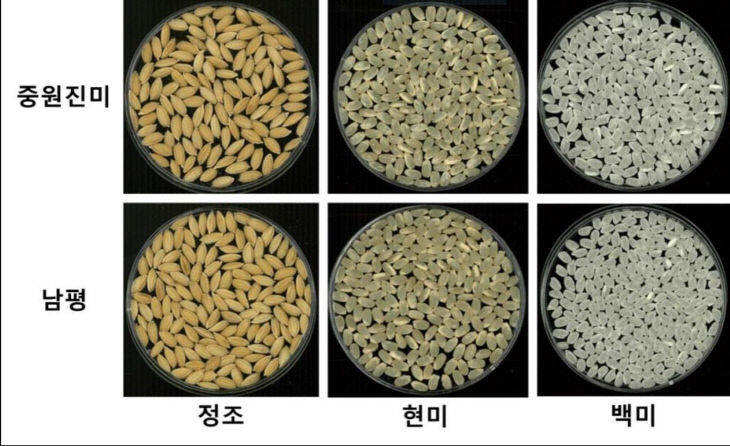 캡처