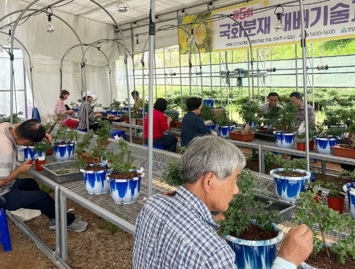 국화분재 재배기술교육 교육 (2)