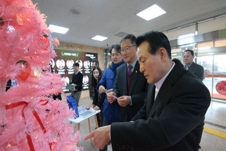 딸기산업엑스포 성공기원 소원나무 (9)