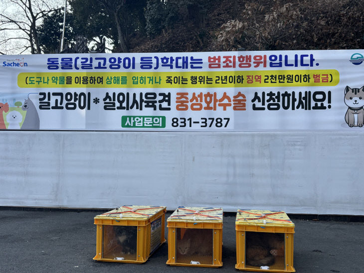 사천시, 관광지 중심 길고양이 집중 중성화 수술