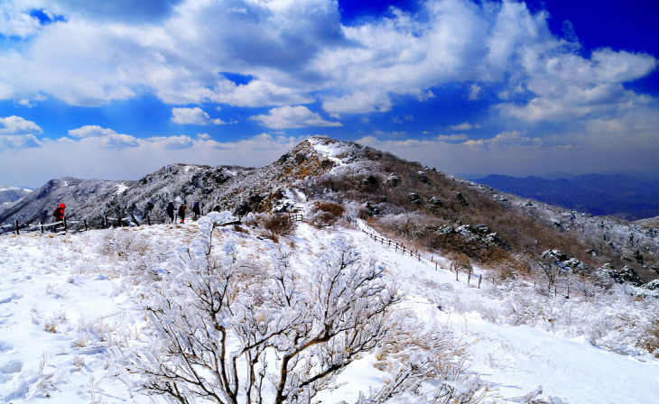 보도 1) 단양소백산 겨울