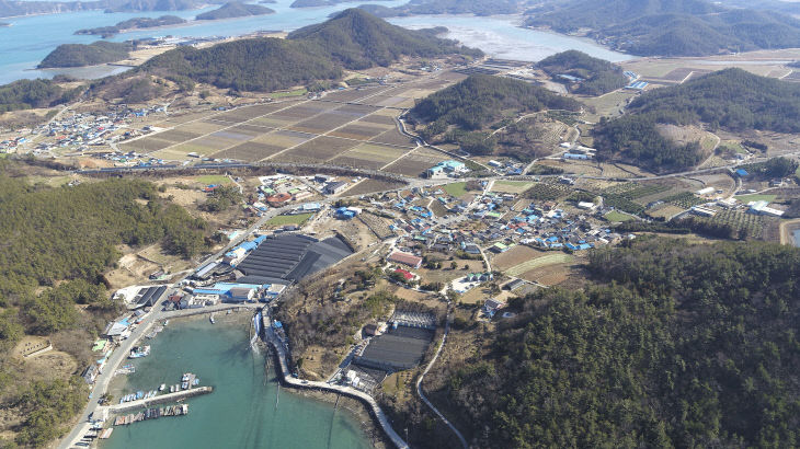 완도