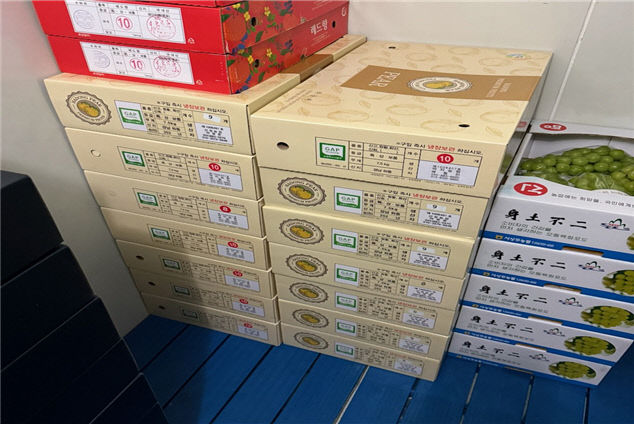 3 고성군, 올해도 모든 어린이에게 제철 과일로 찾아가