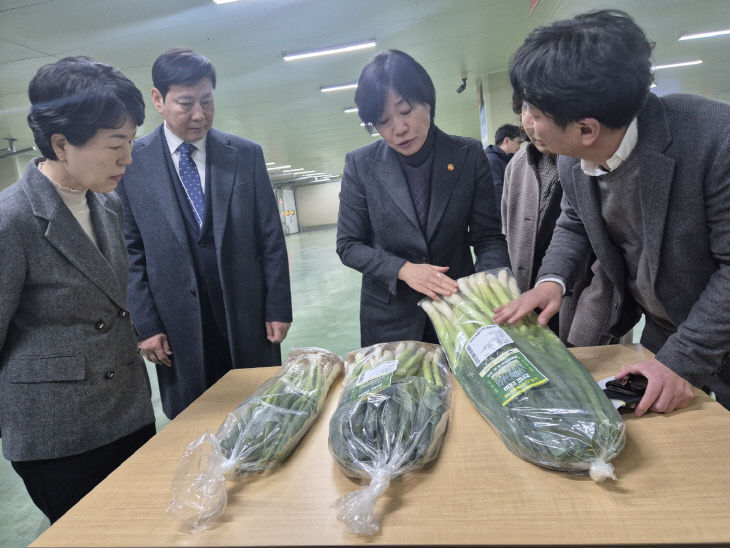 진도