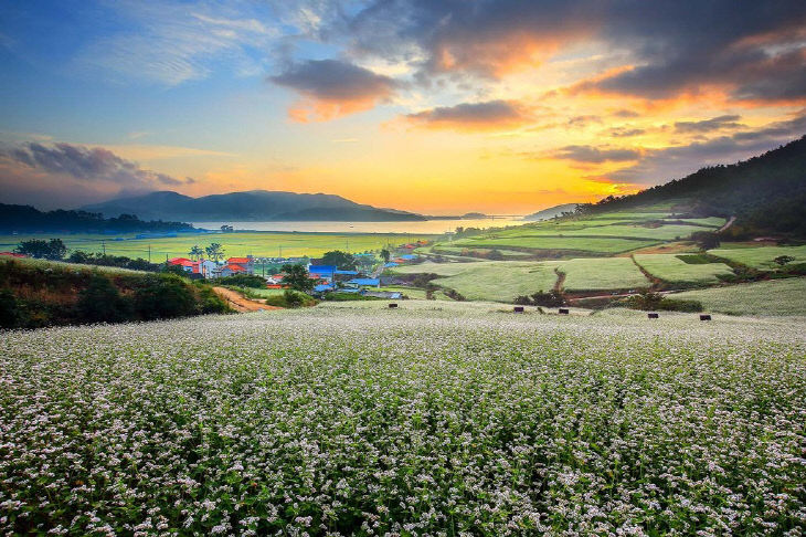 회진면 선학동 마을