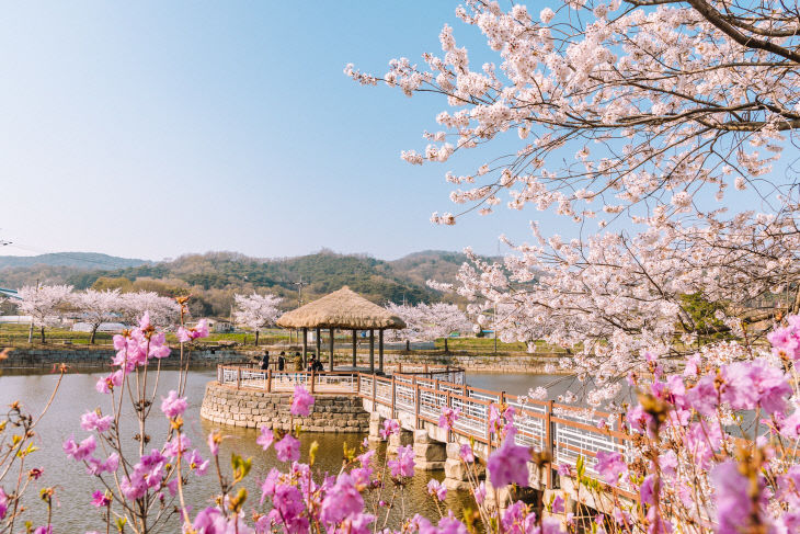 사본 -(사진3)면천면 골정지