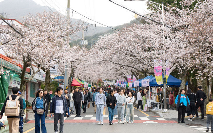 통영 ‘봉숫골 꽃나들이 축제’ 2년 연속 지역특화축제 선정