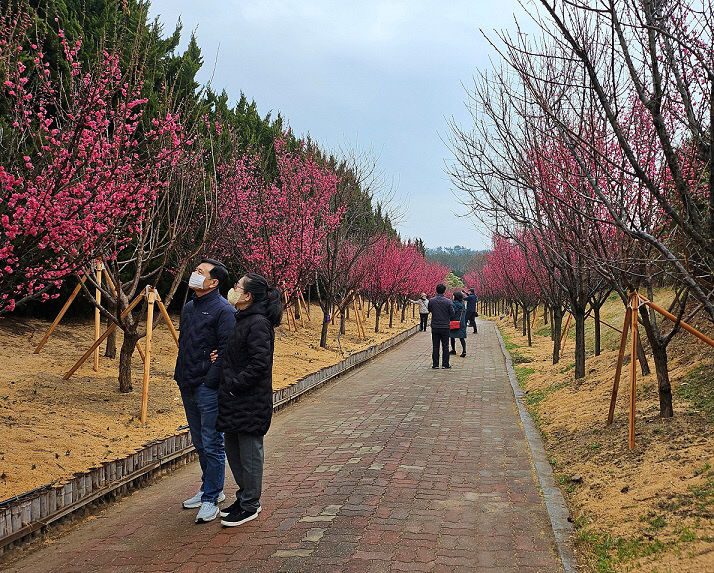 사진 (1)