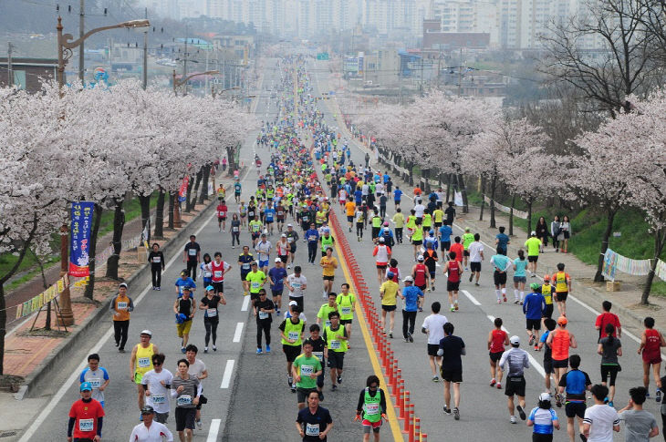 지난해 열린 제11회 마라톤대회