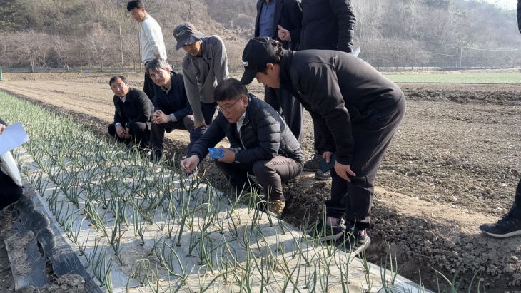 함평