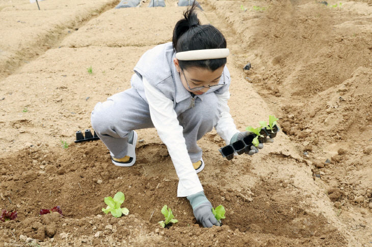 2-3. 도시농업공동체 공공텃밭 개장