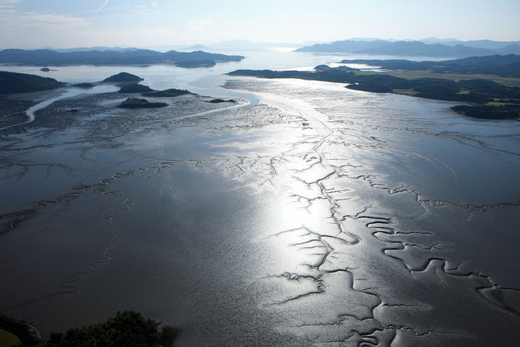 보