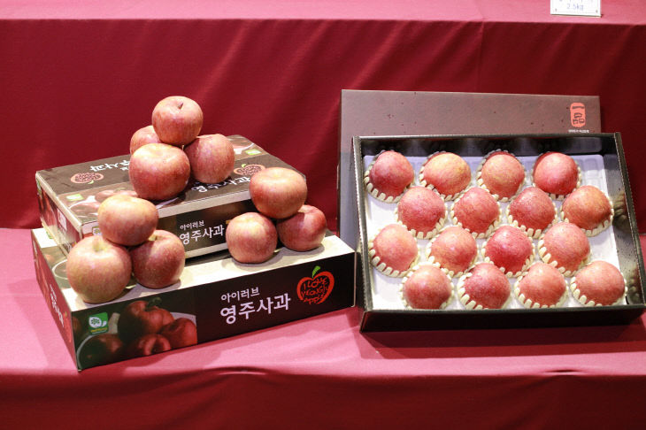 영주-4-2 (참고사진-)