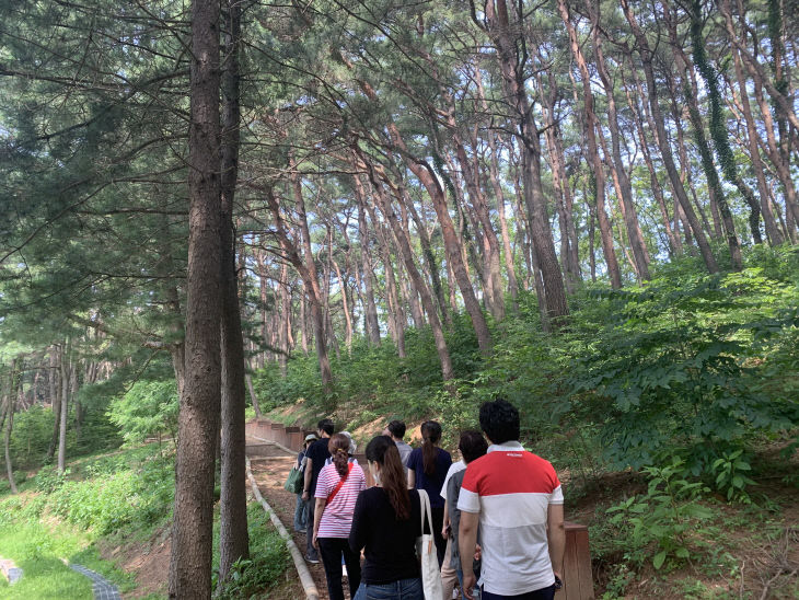 강화군, 마니산 치유의 숲 웰니스 프로그램 운영(1)