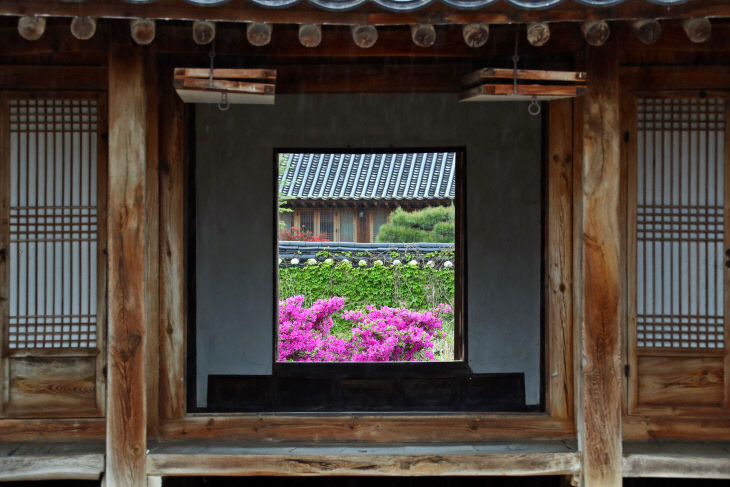 정읍 김명관 고택, 봄꽃으로 물들다 (4)