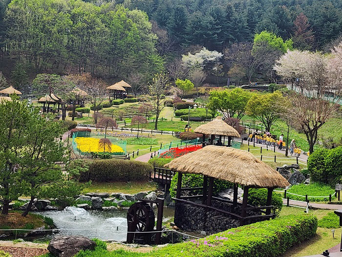 4. 용인특례시 농촌테마파크 여름철 전경