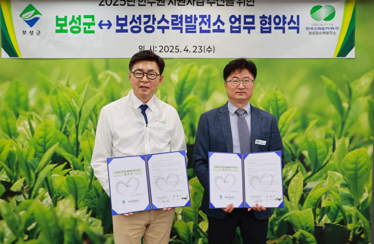 보성