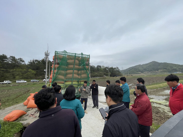 고