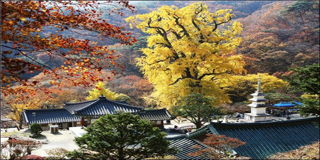 양평1