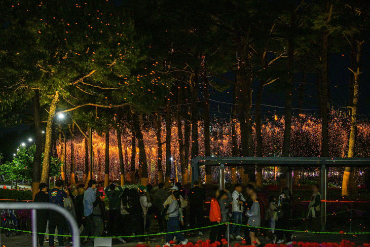 2025_세종낙화축제2(관광진흥과)