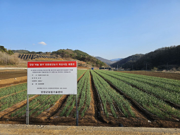 보도 1) 채종포사진