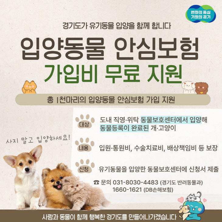 카드뉴스(2025+입양동물+안심보험)