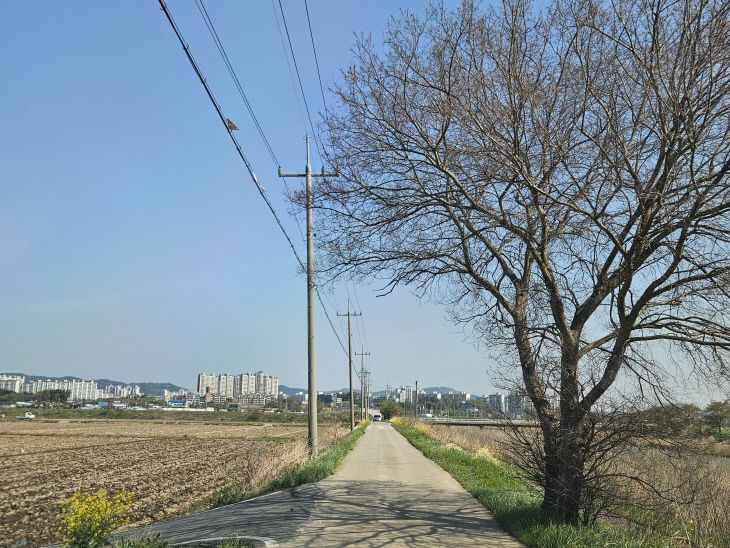 20250426_095133(0)