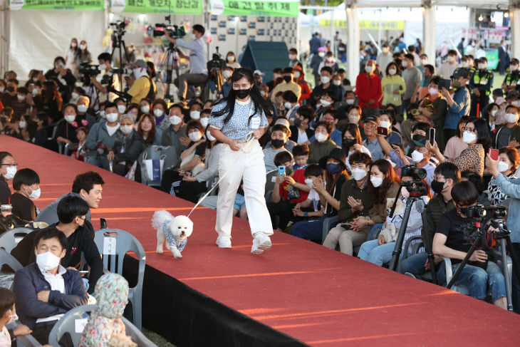 임