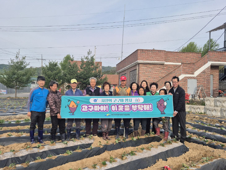 13.봉산면 사랑의 고구마 심기 행사 기념촬영