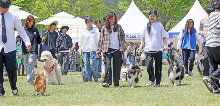 임