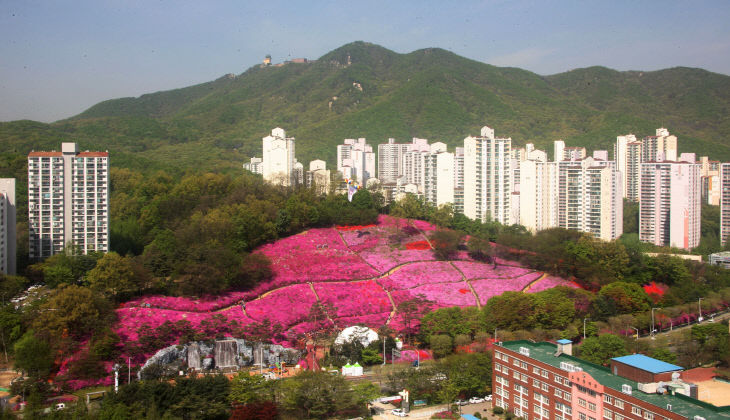 군포 철쭉동산 전경.