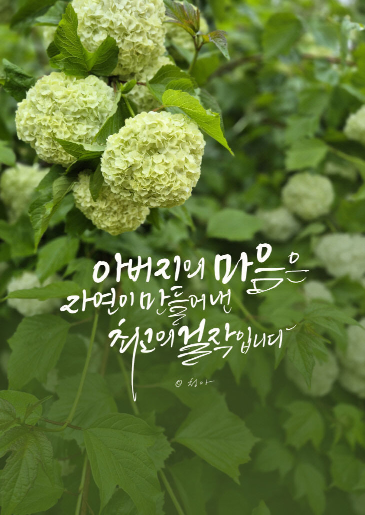 KakaoTalk_20250508_080215828